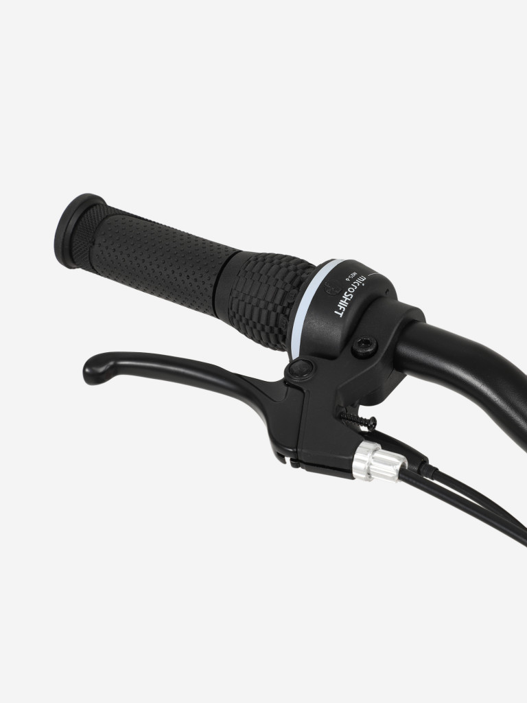 Велосипед для девочек Denton Shine 1.0 20"