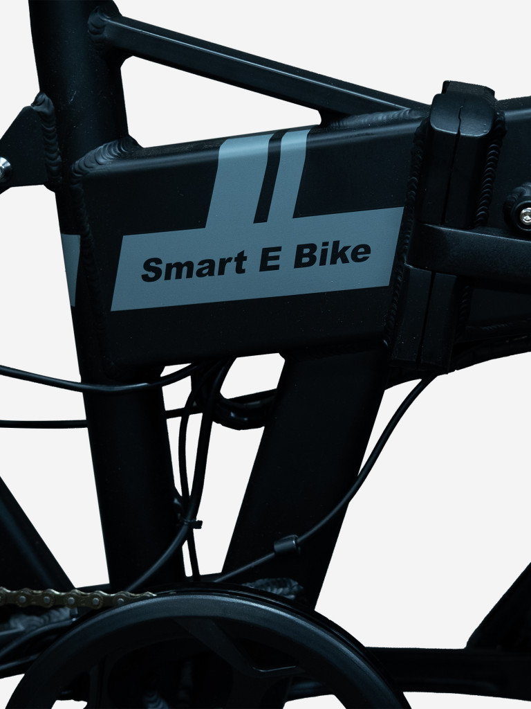 Электровелосипед EasyRider A-Type