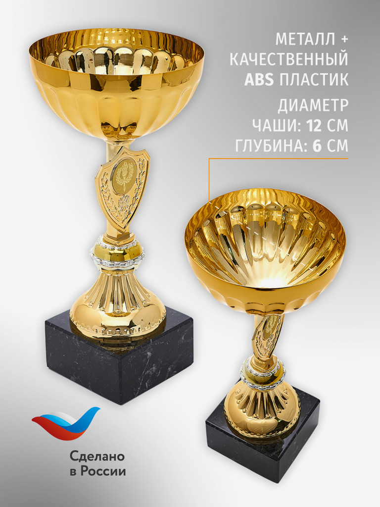 Кубок спортивный для награждения победителей 24.5 см