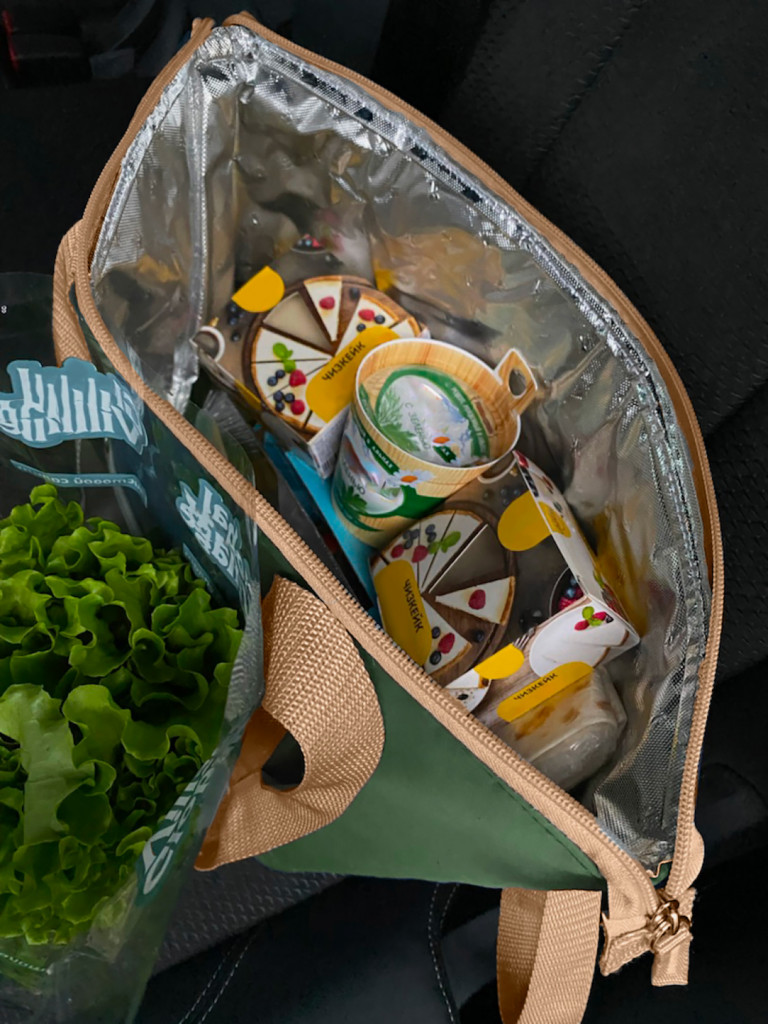 Сумка-холодильник, классическая, тм "Арктика", 10 л, арт.3100-10, болотная