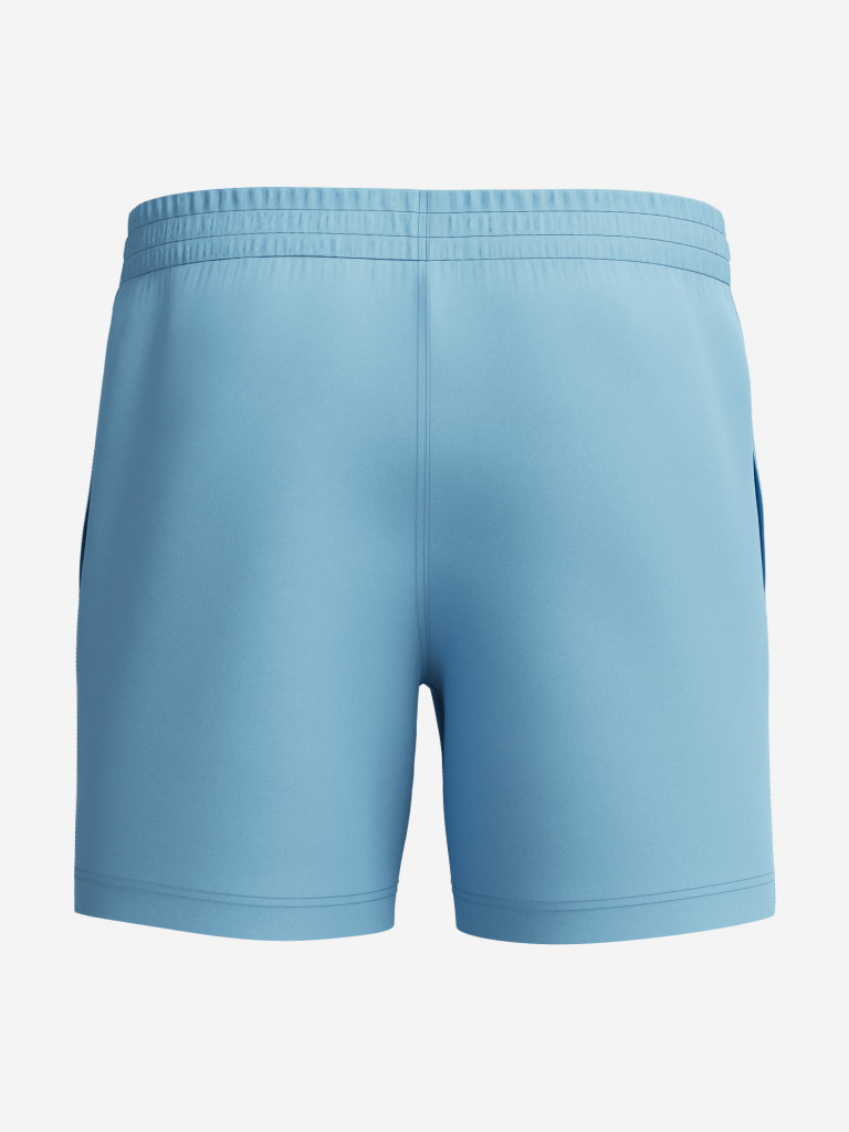 Шорты плавательные мужские Speedo Essentials
