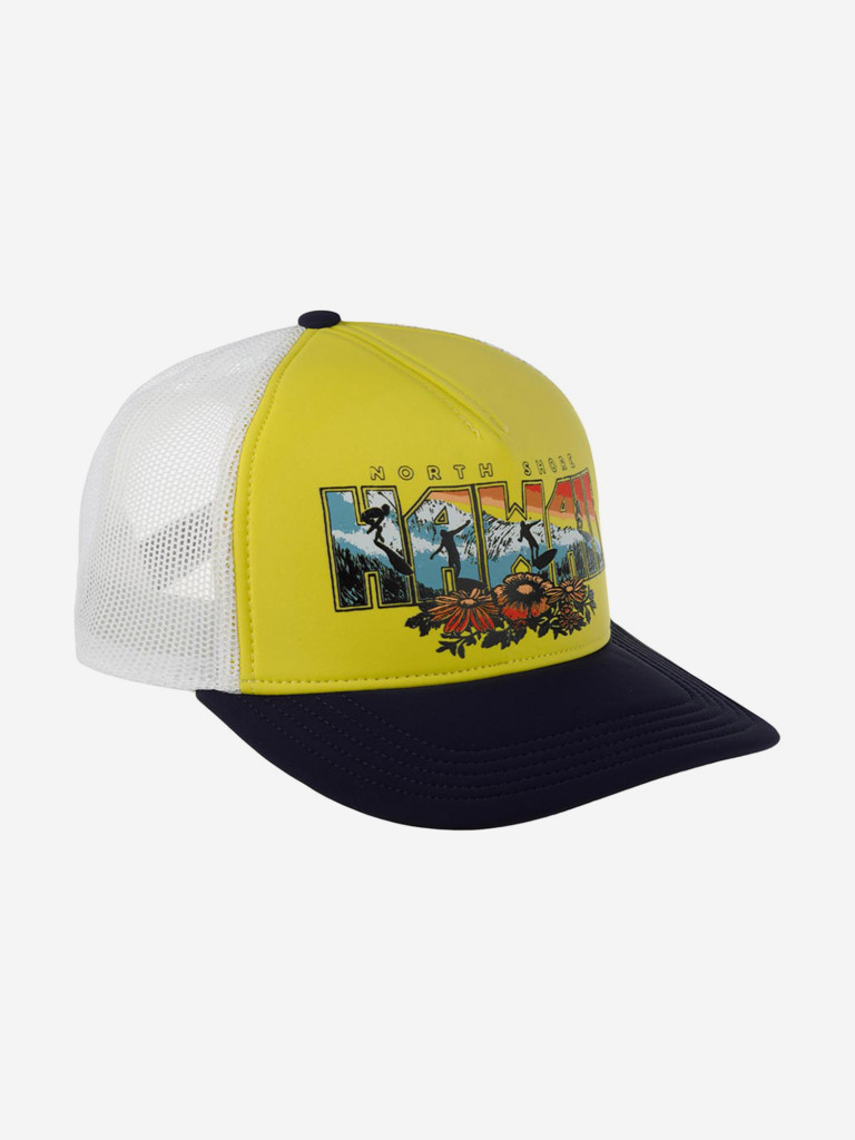 Бейсболка с сеточкой AMERICAN NEEDLE 44960A-HAWA Hawaii Riptide Valin