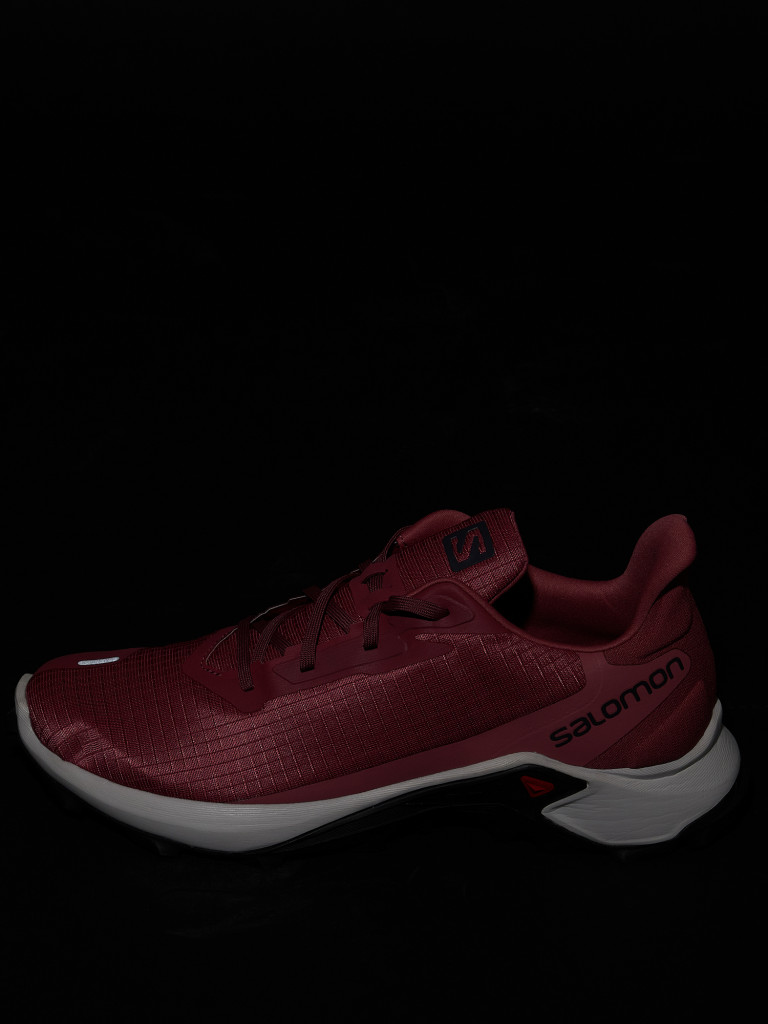 Кроссовки женские Salomon Alphacross 3