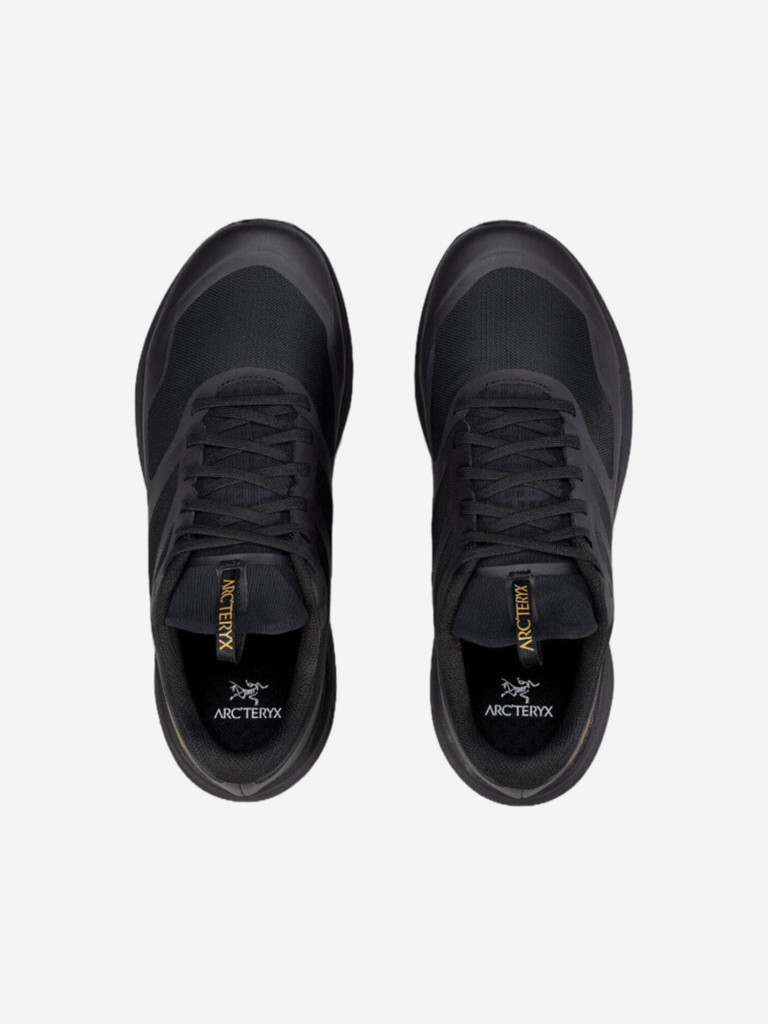 Кроссовки Arcteryx Norvan LD 3