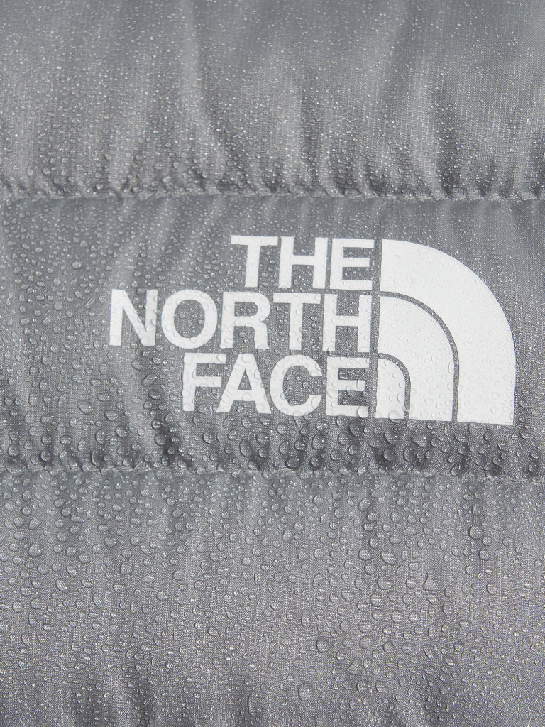 Пуховик мужской The North Face Bettaforca
