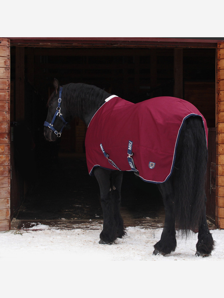 Попона на шерсти Первая Конная Мануфактура WOOL