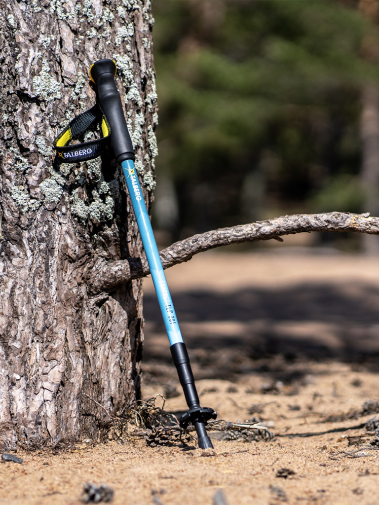 Палки треккинговые COMPACT POLE, синий