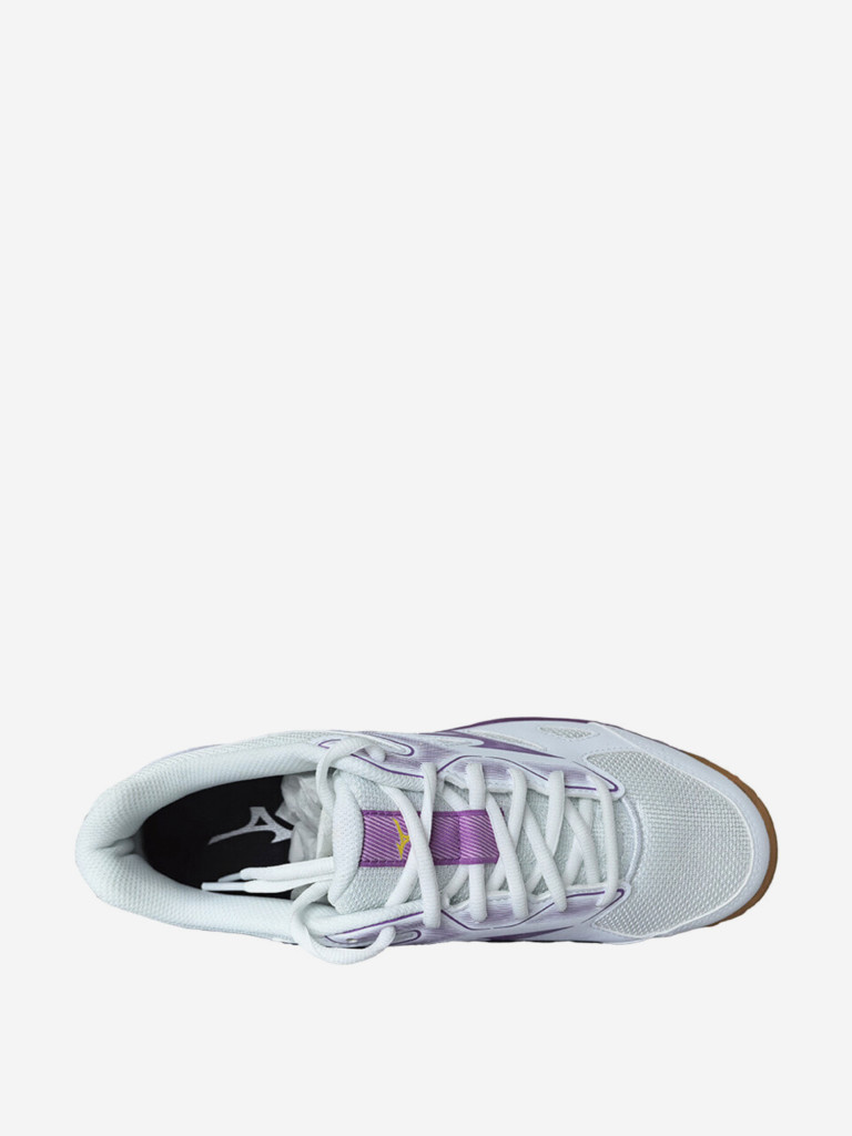 Кроссовки Mizuno Sky Blaster