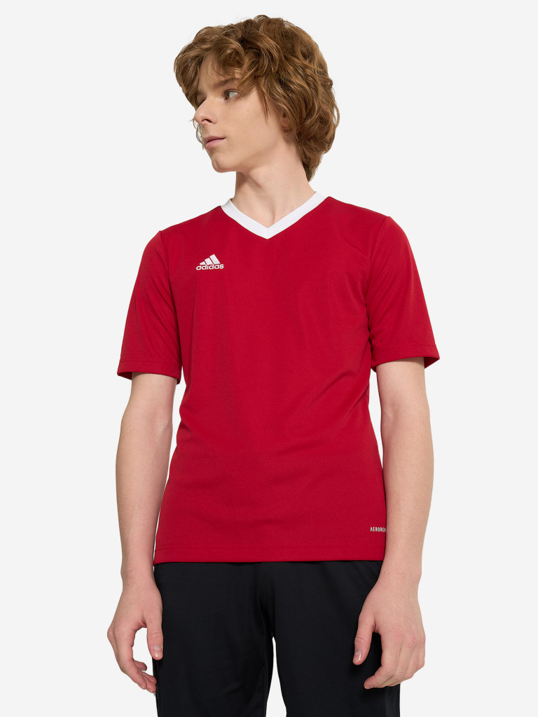 Футболка для мальчиков adidas Entrada 22