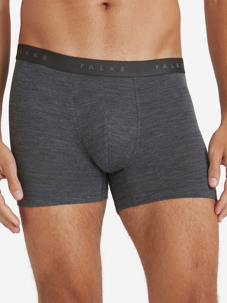 Мужские трусы FALKE