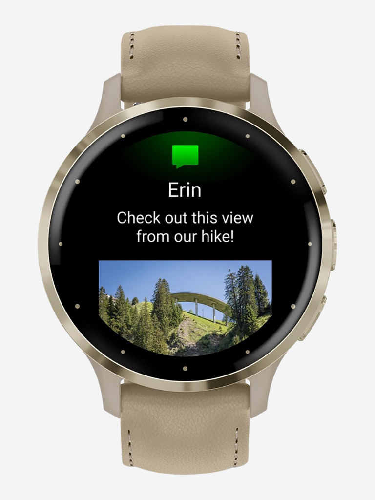 Спортивные часы Garmin Venu 3S Gray Soft Gold Leather