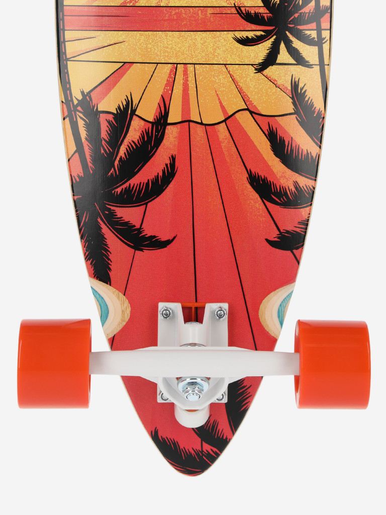 Лонгборд Termit Pintail