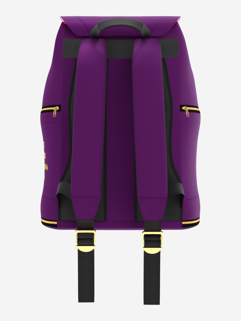 Рюкзак S.P.S.M.