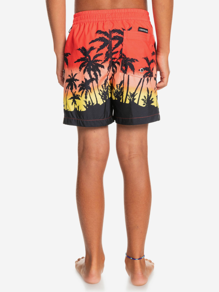 Шорты для мальчиков Quiksilver Paradise