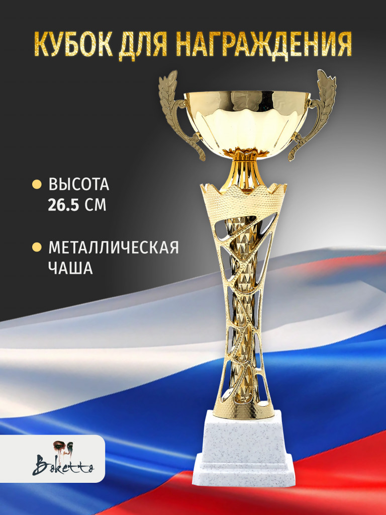 Спортивный кубок для награждения победителя 26.5 см