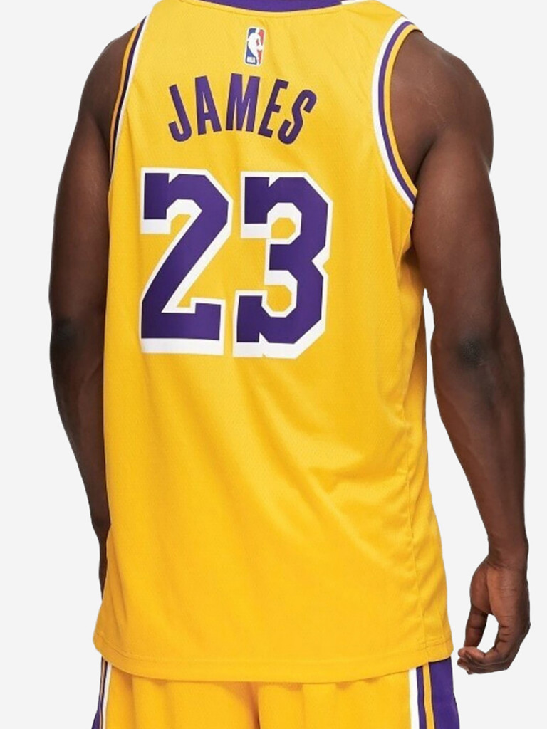 Майка баскетбольная Nike LeBron James Icon Swingman