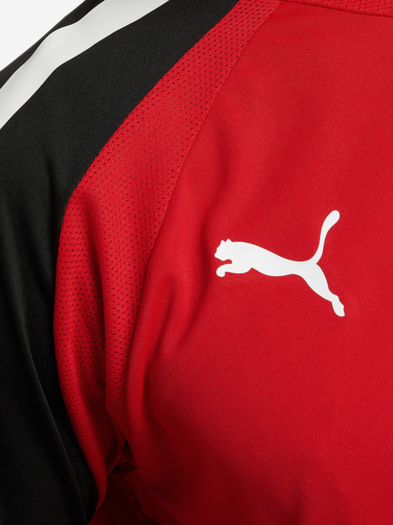 Футболка мужская PUMA teamPACER