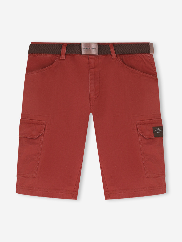 Шорты мужские Cordillero