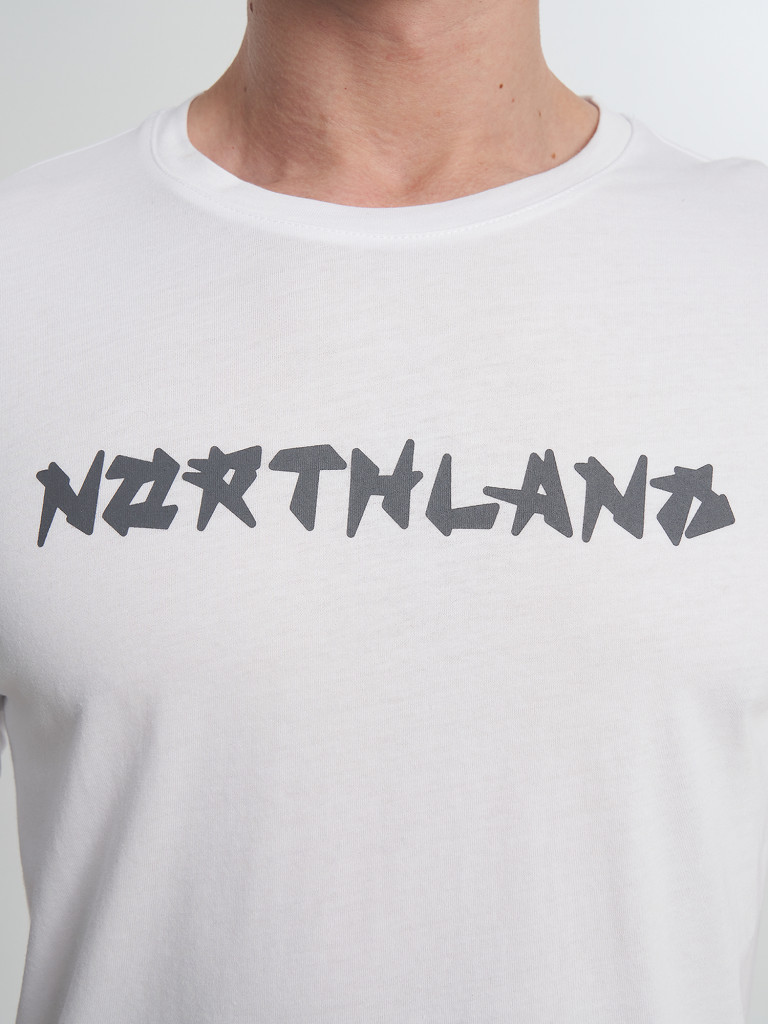Футболка мужская Northland