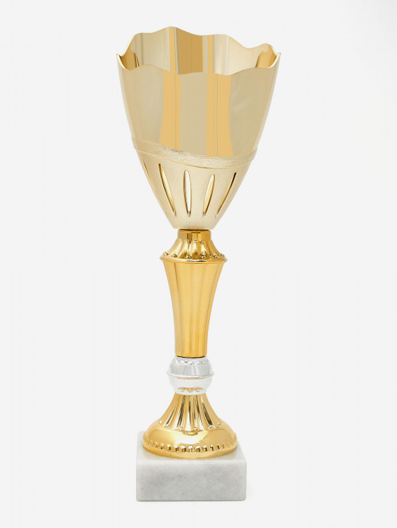 Кубок спортивный для награждения победителей