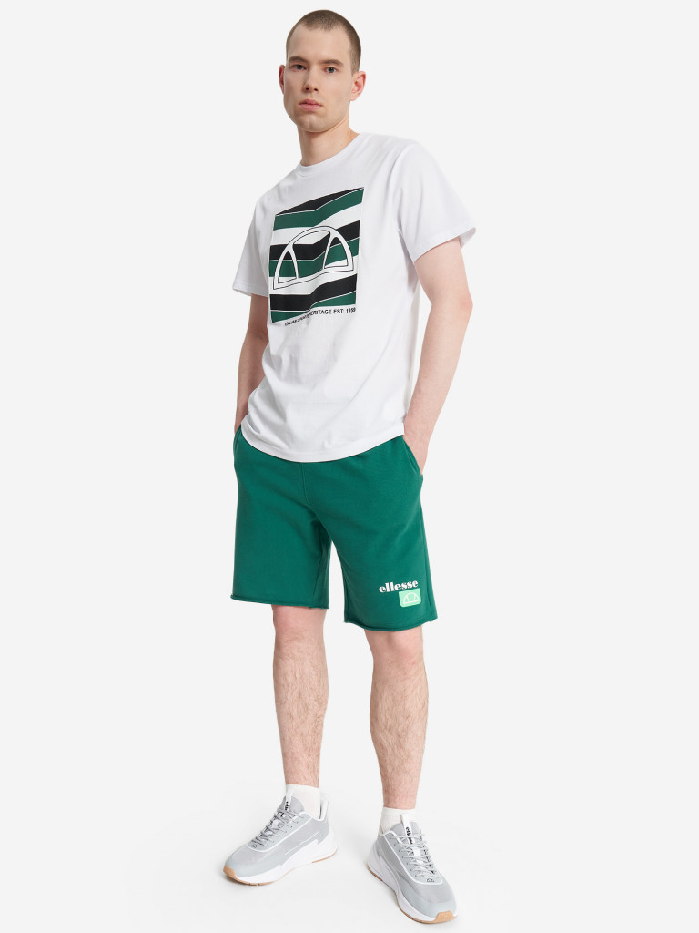 Шорты мужские Ellesse