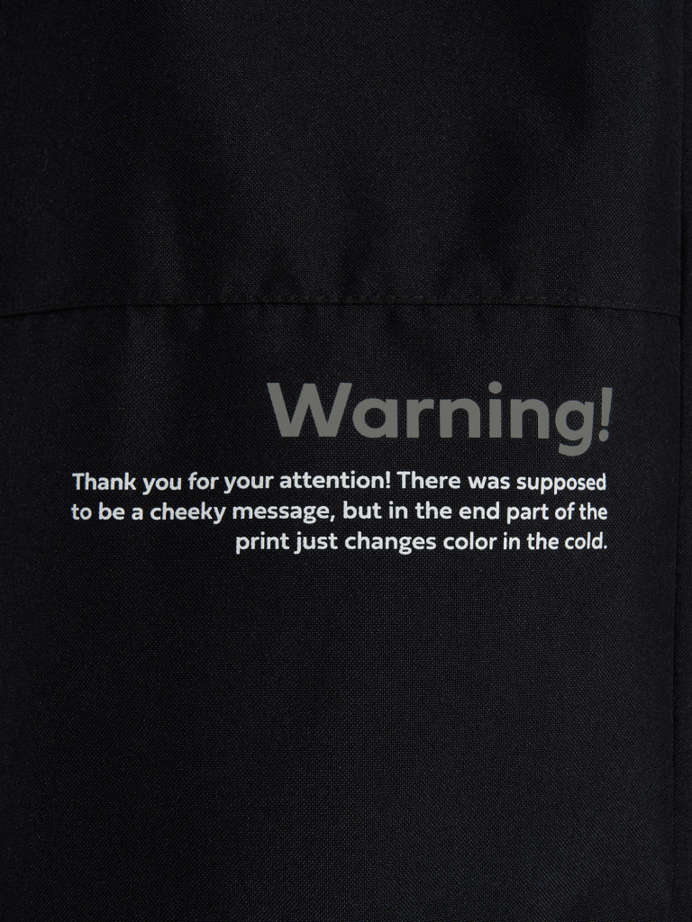 Брюки сноубордические мужские Termit