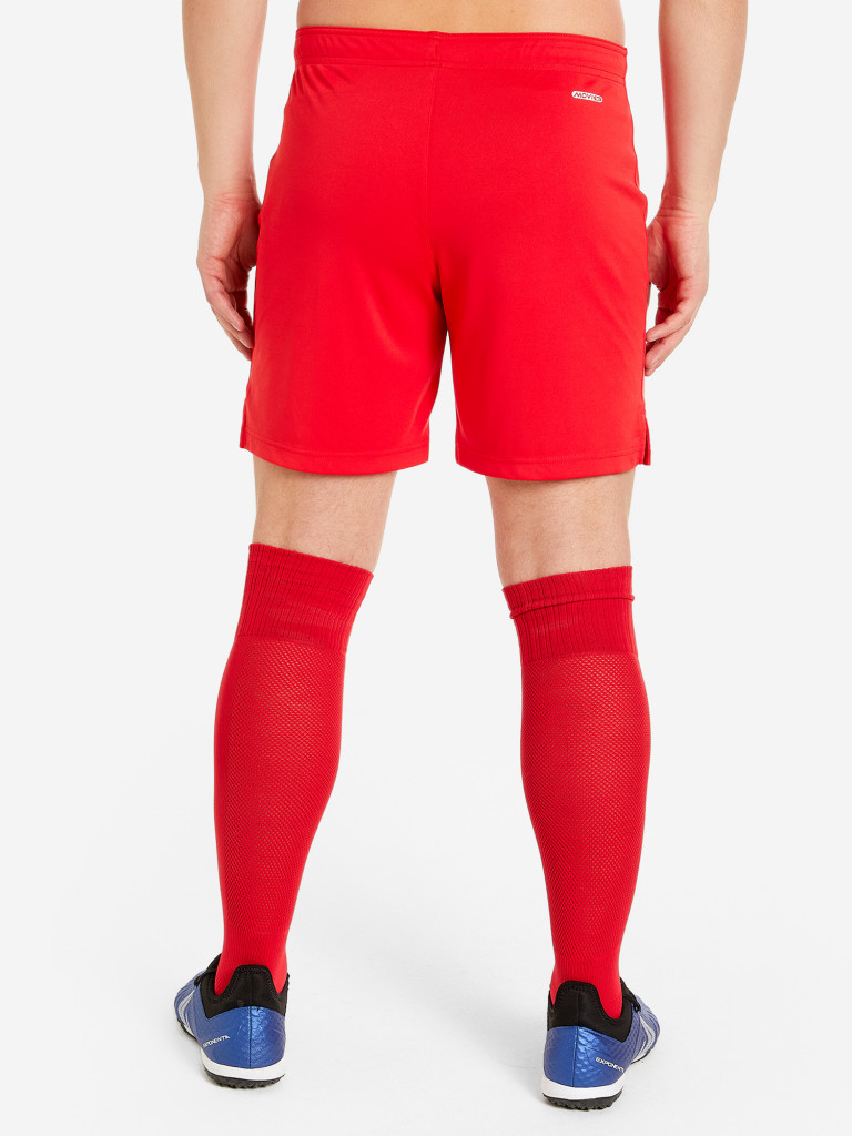 Шорты мужские Demix Legacy