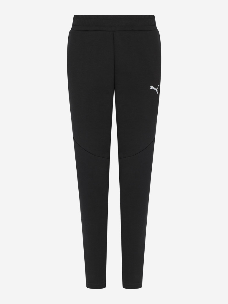 Брюки для мальчиков PUMA Evostripe