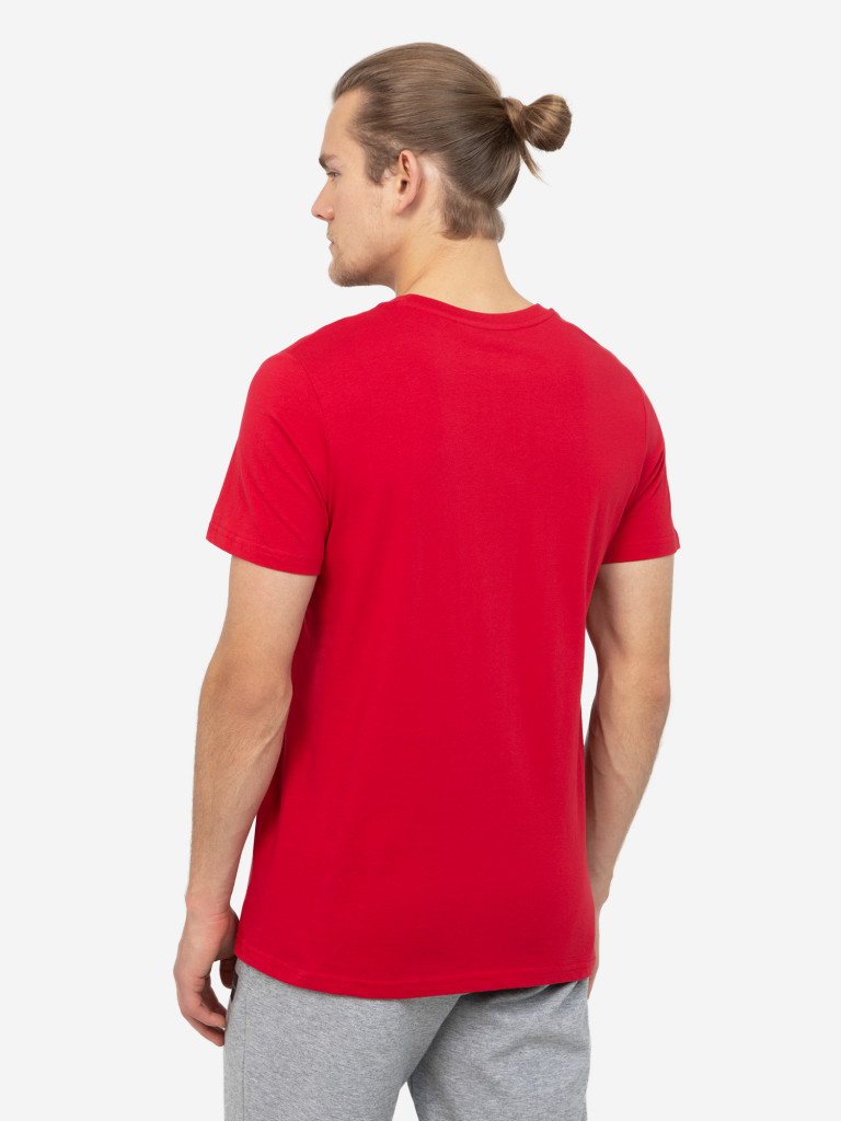 Футболка мужская Demix