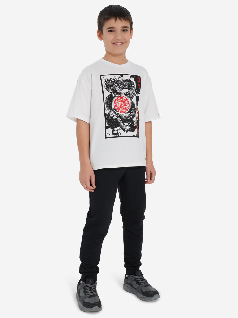 Брюки для мальчиков Demix