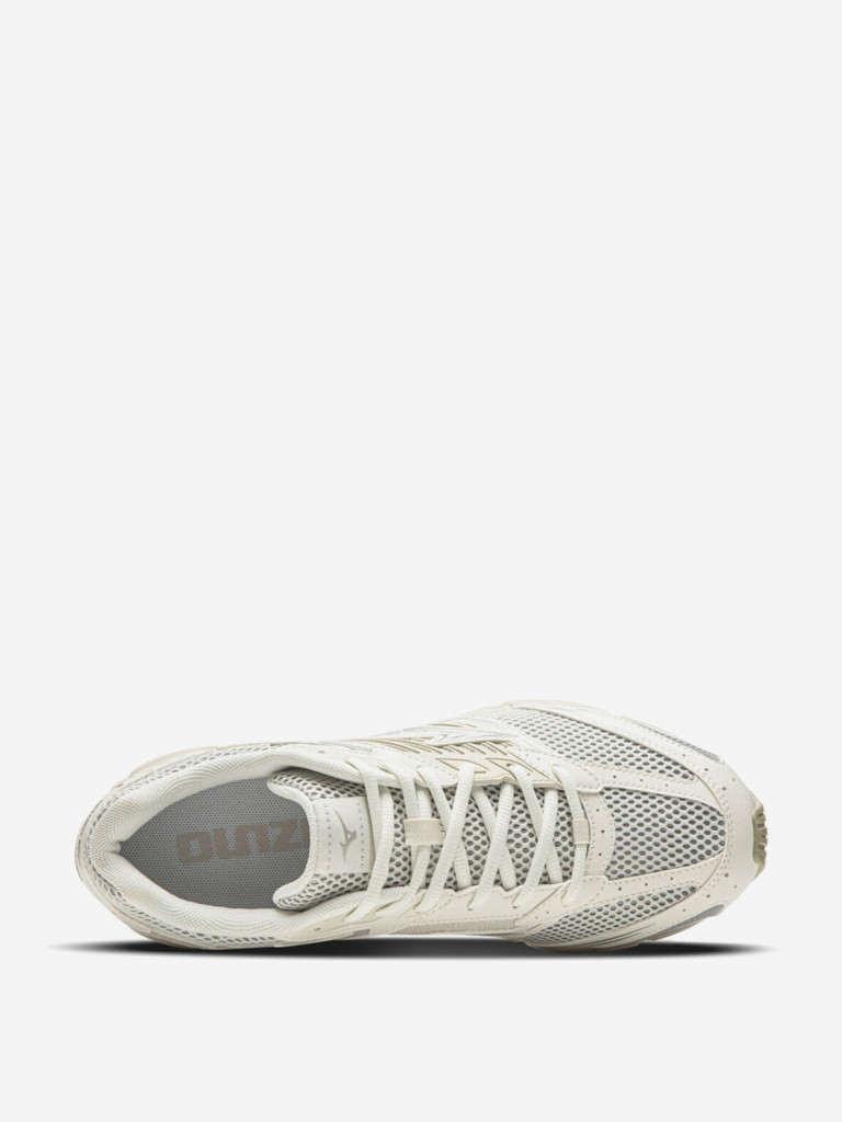 Кроссовки мужские Mizuno Speed Fabric Low top Casual