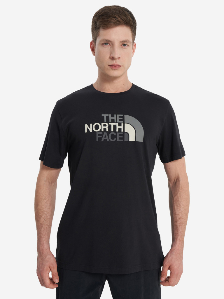 Футболка мужская The North Face Easy