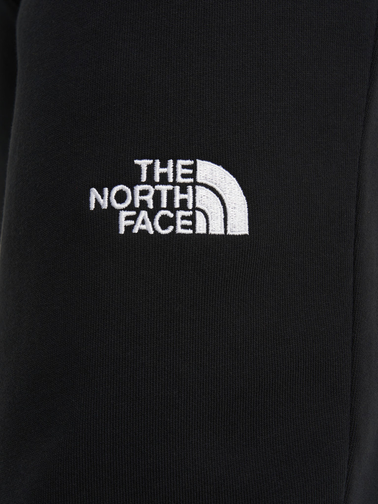 Брюки мужские The North Face Nse