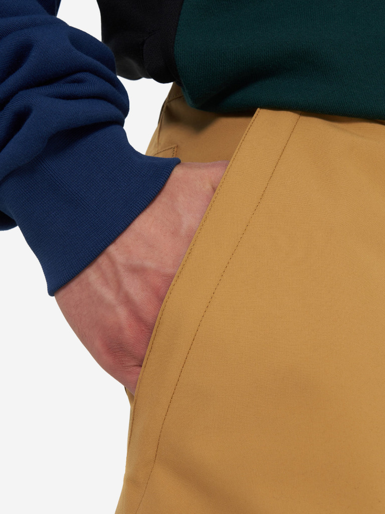 Брюки утепленные мужские DC Shoes Banshee