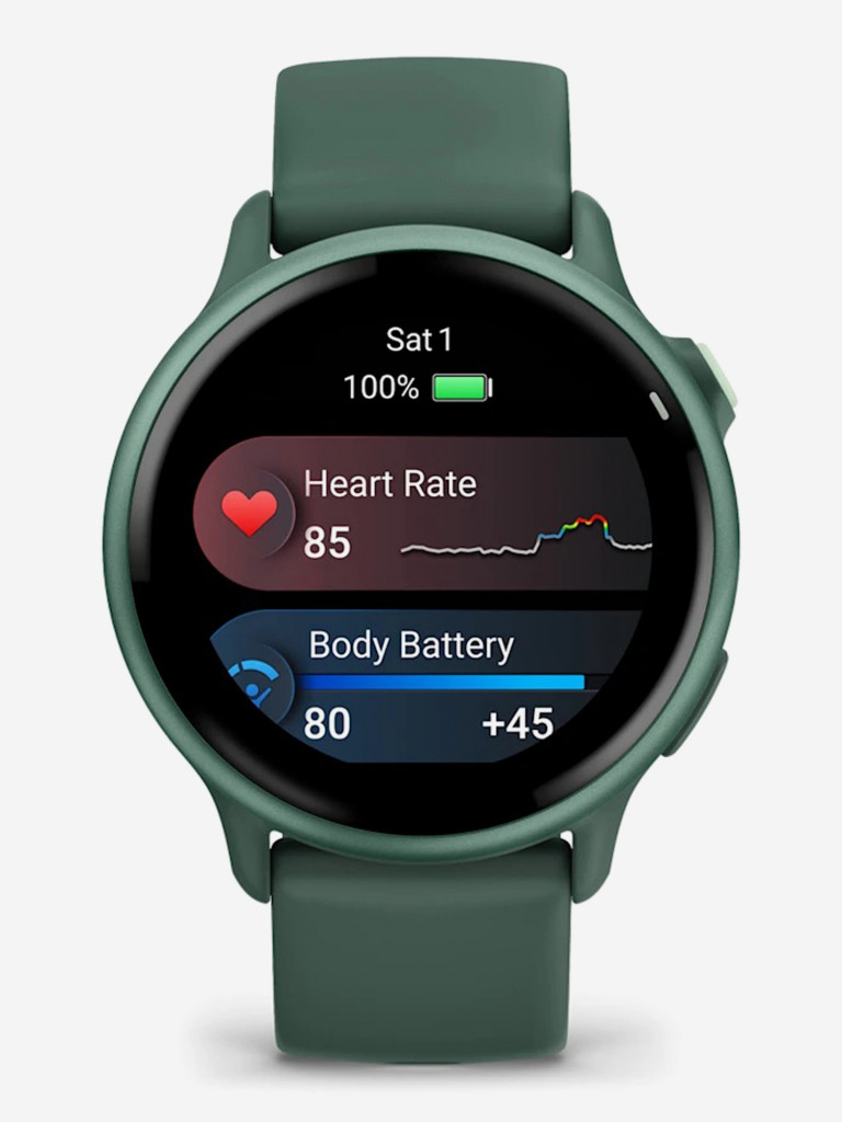 Спортивные часы GARMIN Vivoactive 6
