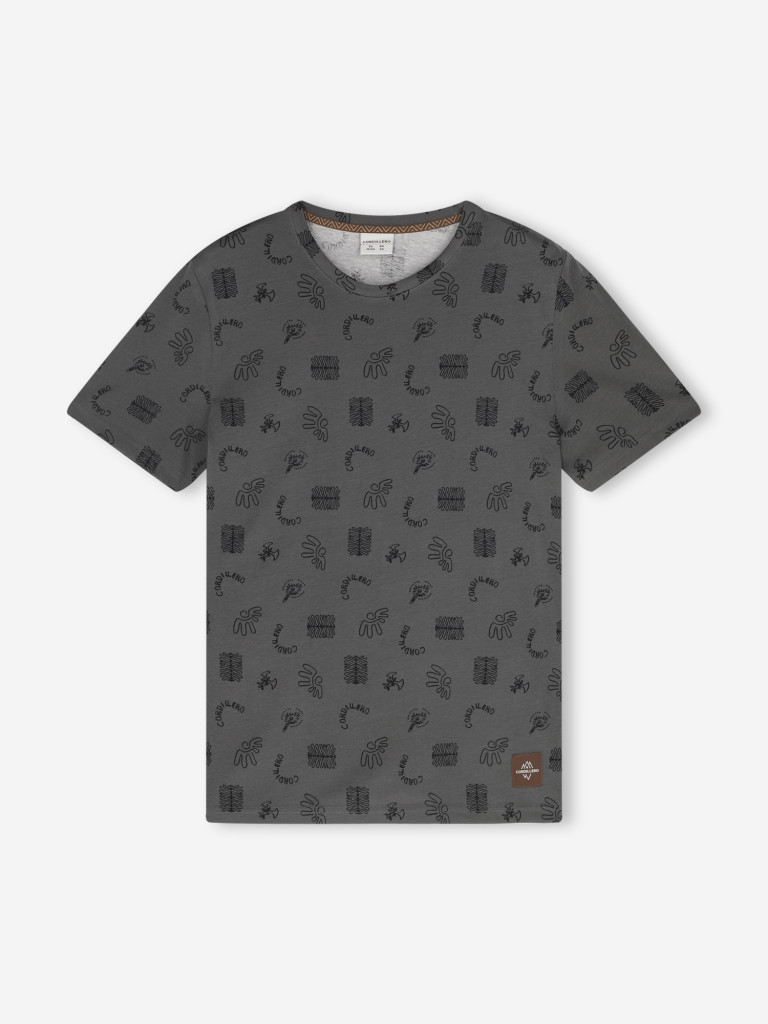 Футболка мужская Cordillero