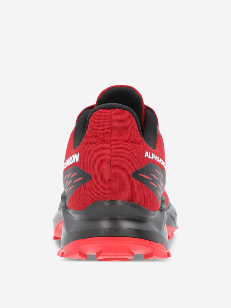Кроссовки мужские Salomon Alphacross 5