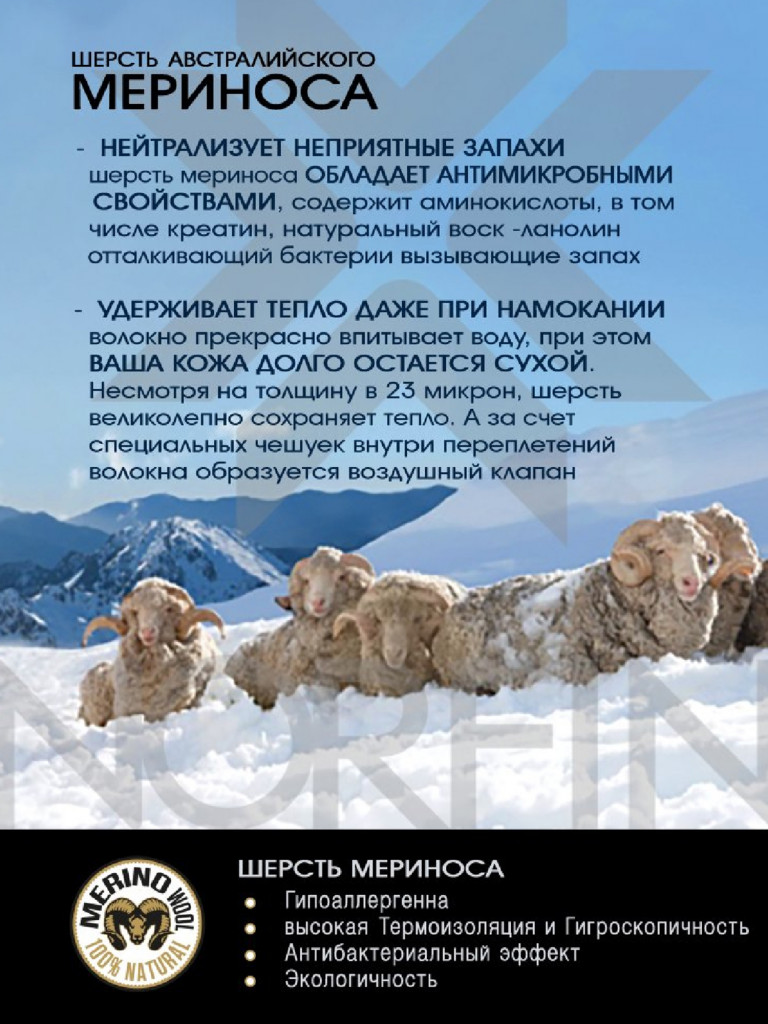 Термобелье Norfin Natural Heat Merino мужское зимнее второго слоя для охоты и рыбалки