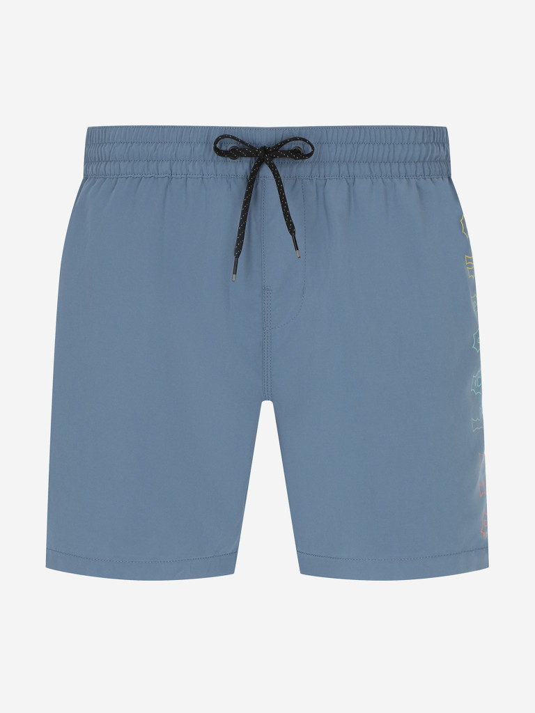 Шорты плавательные мужские Billabong All Day Heritage