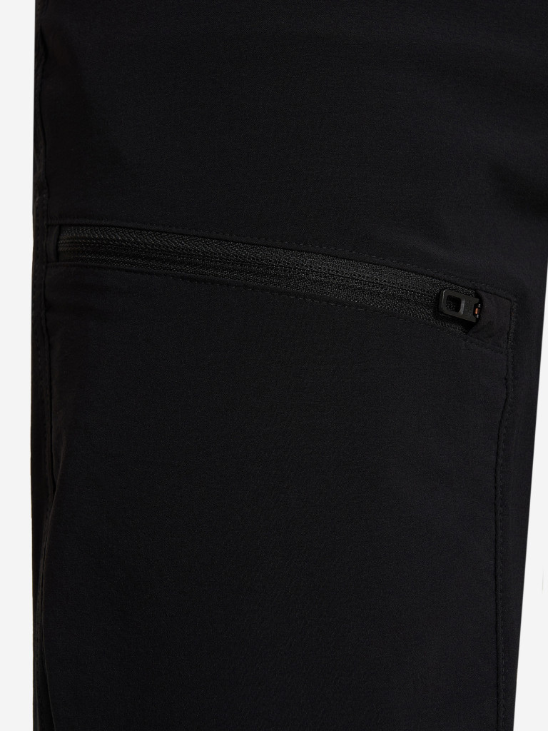 Брюки мужские The North Face Speedlight