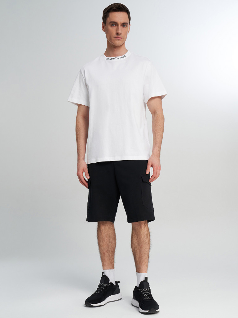Футболка мужская The North Face Zumu