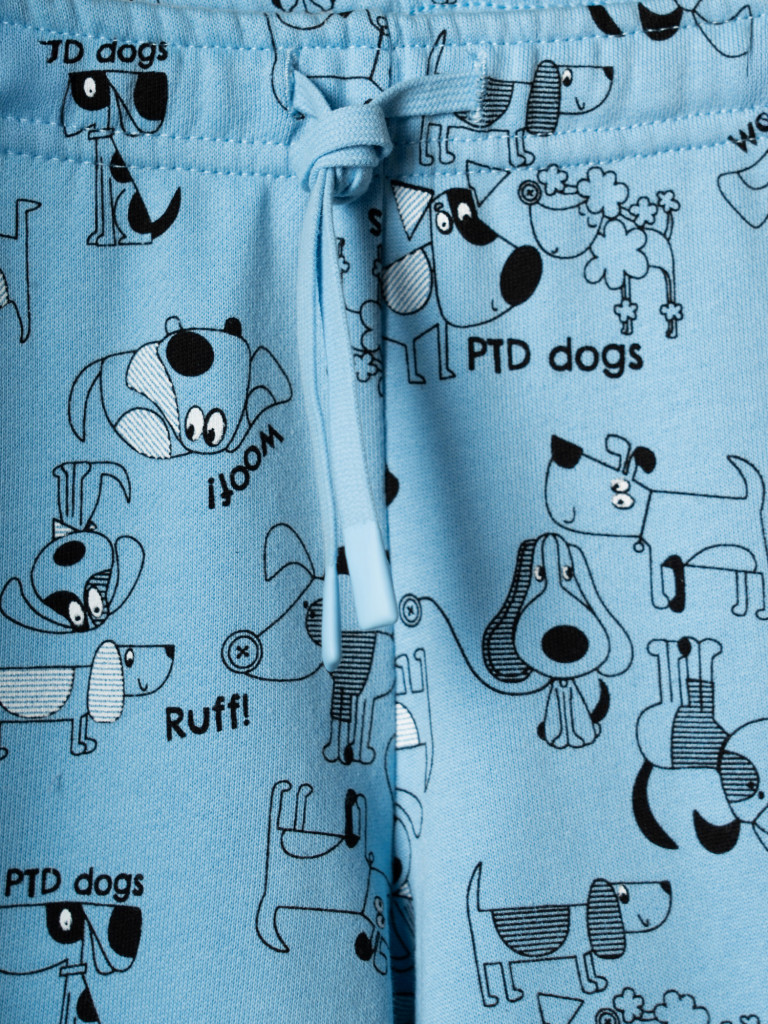 Комплект для мальчиков: толстовка, брюки PlayToday