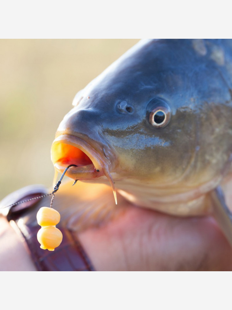 Крючок CARP PRO Black Nickel Wide Gape Classics №8 10шт