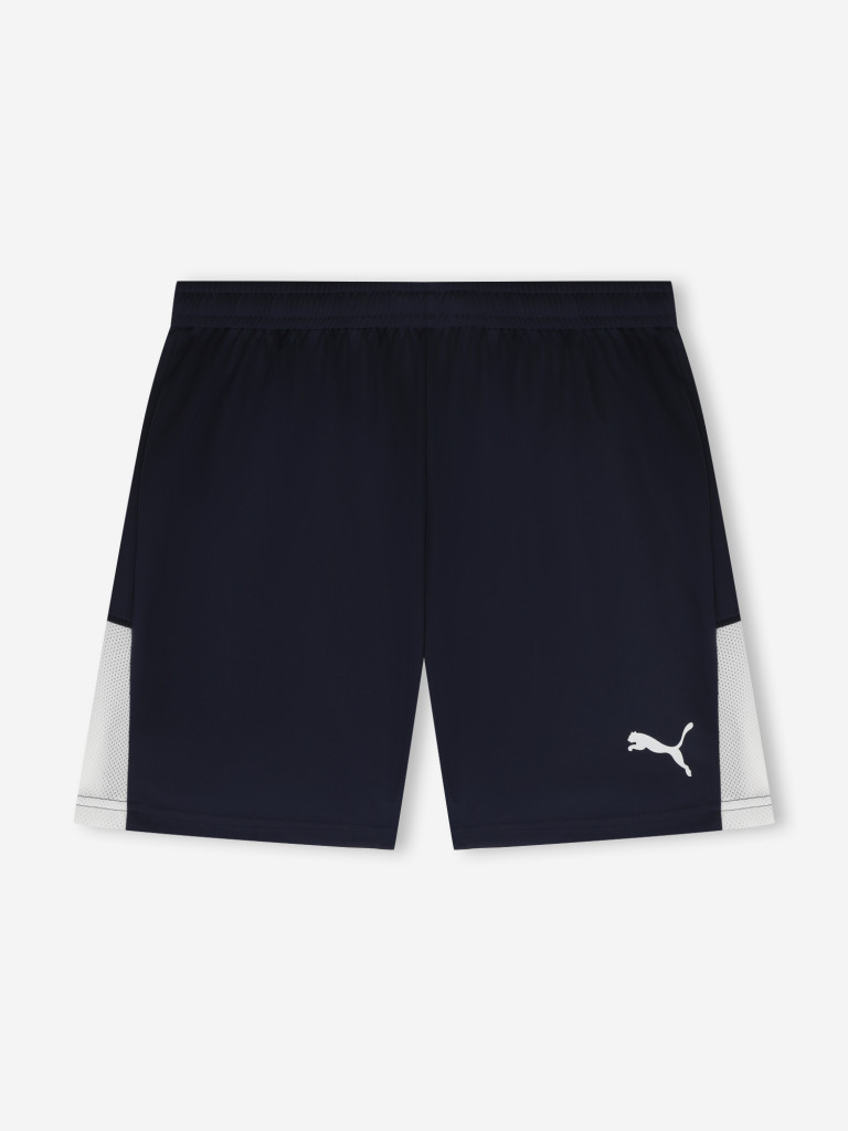 Шорты мужские PUMA Teamliga26