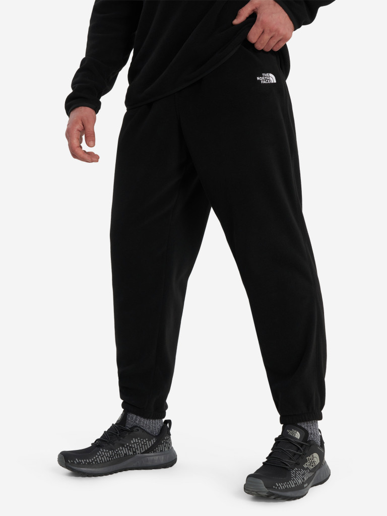 Брюки флисовые мужские The North Face Glacier