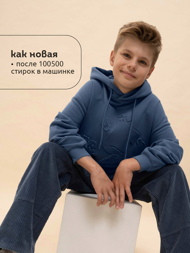 Толстовка, худи для мальчиков Pelican