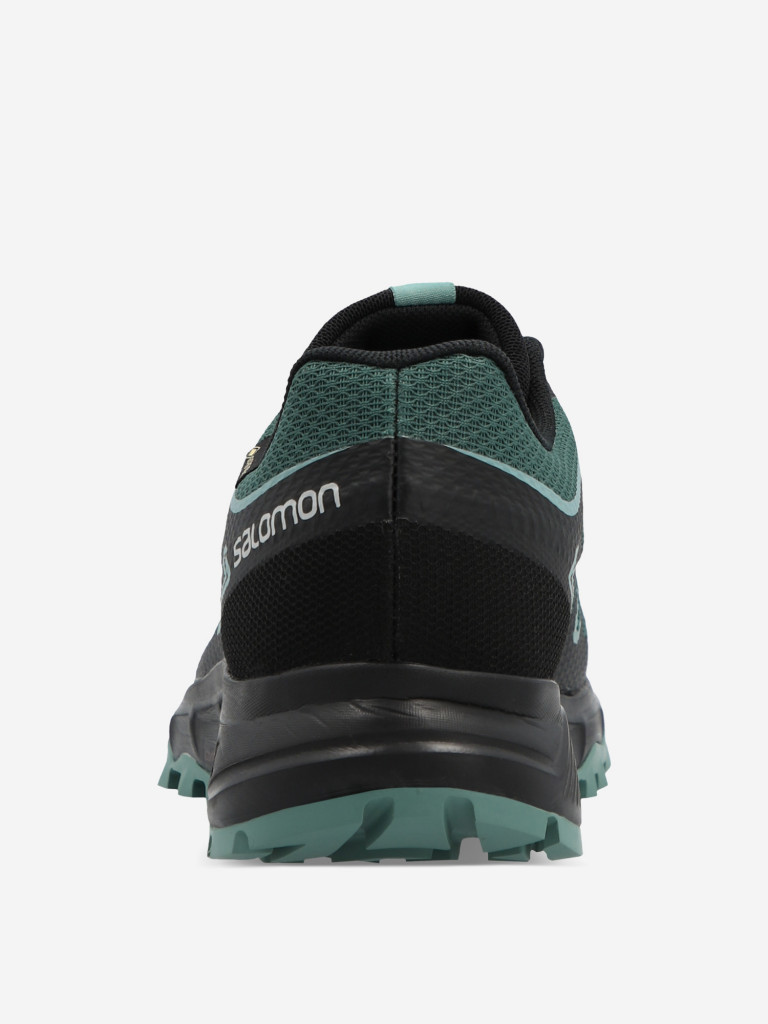 Кроссовки женские Salomon Lioneer GTX W