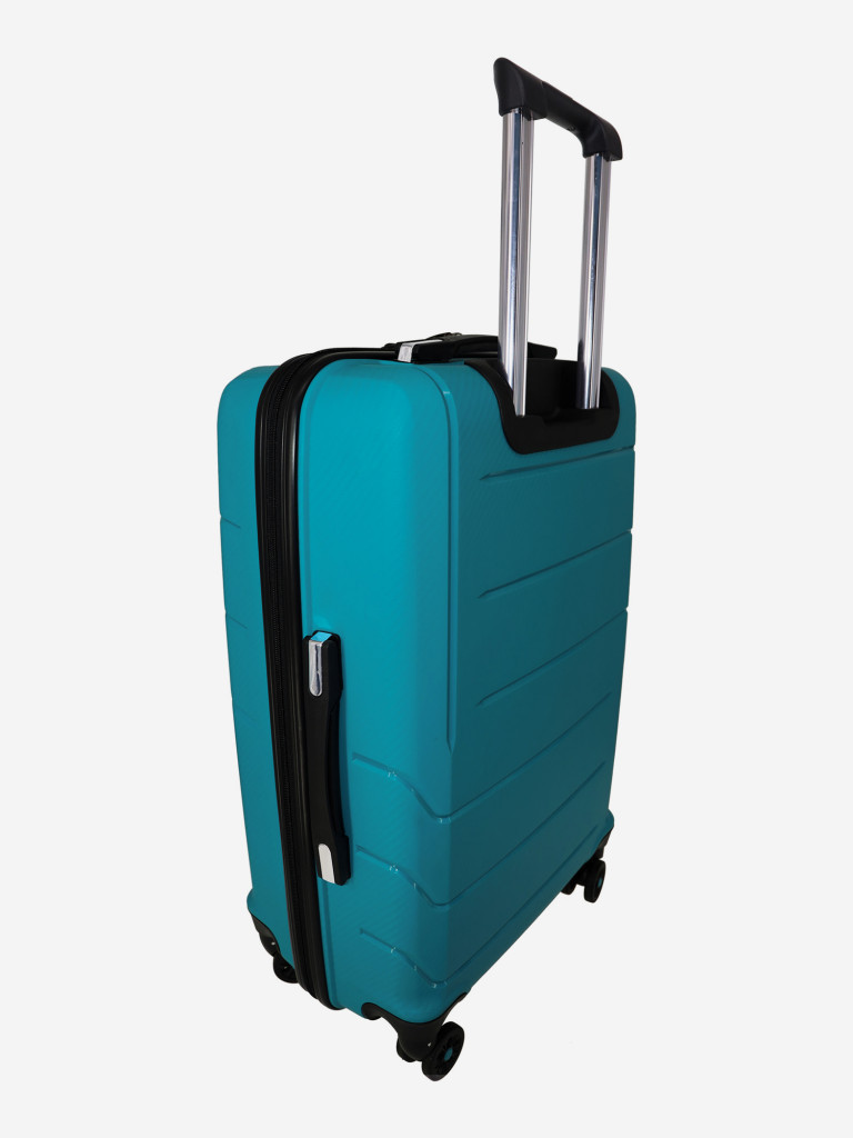 Чемодан RION+ L