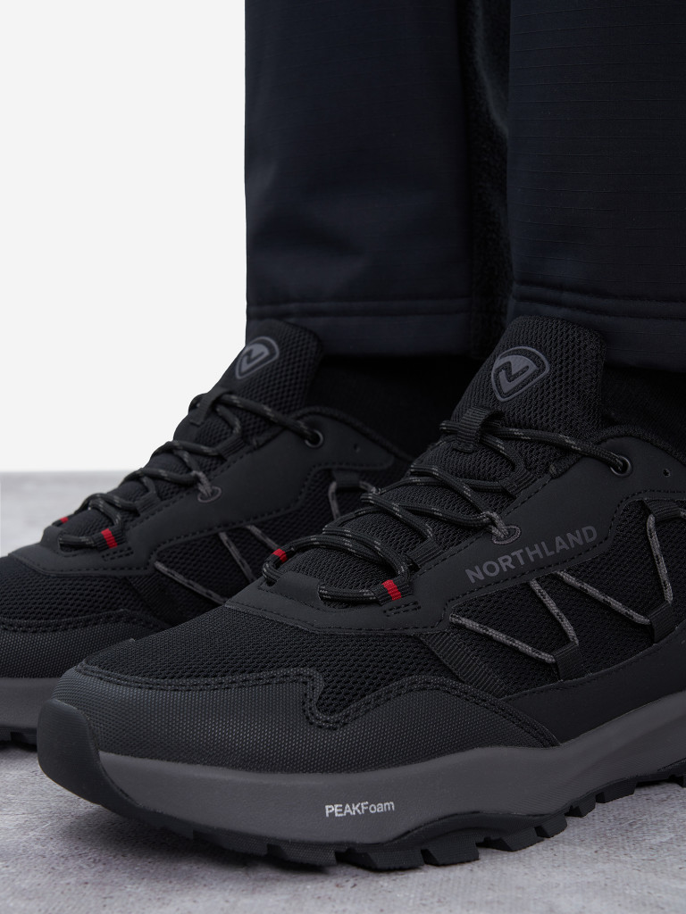 Кроссовки мужские Northland Flink