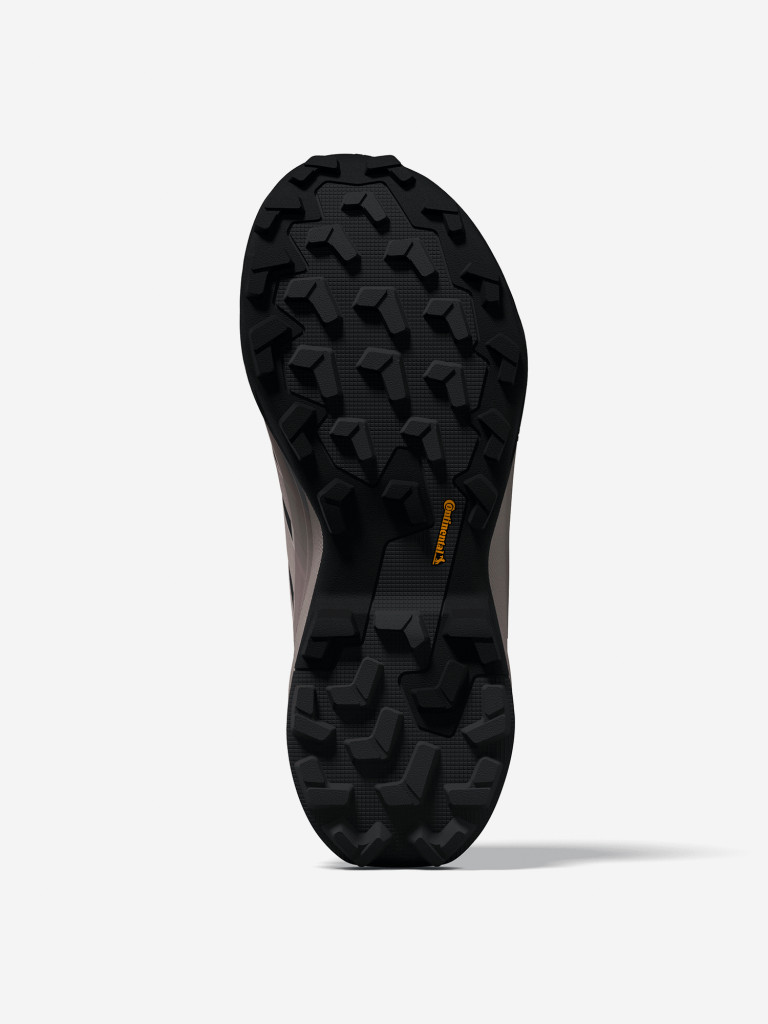 Кроссовки женские adidas Terrex Skychaser Ax5 Gtx